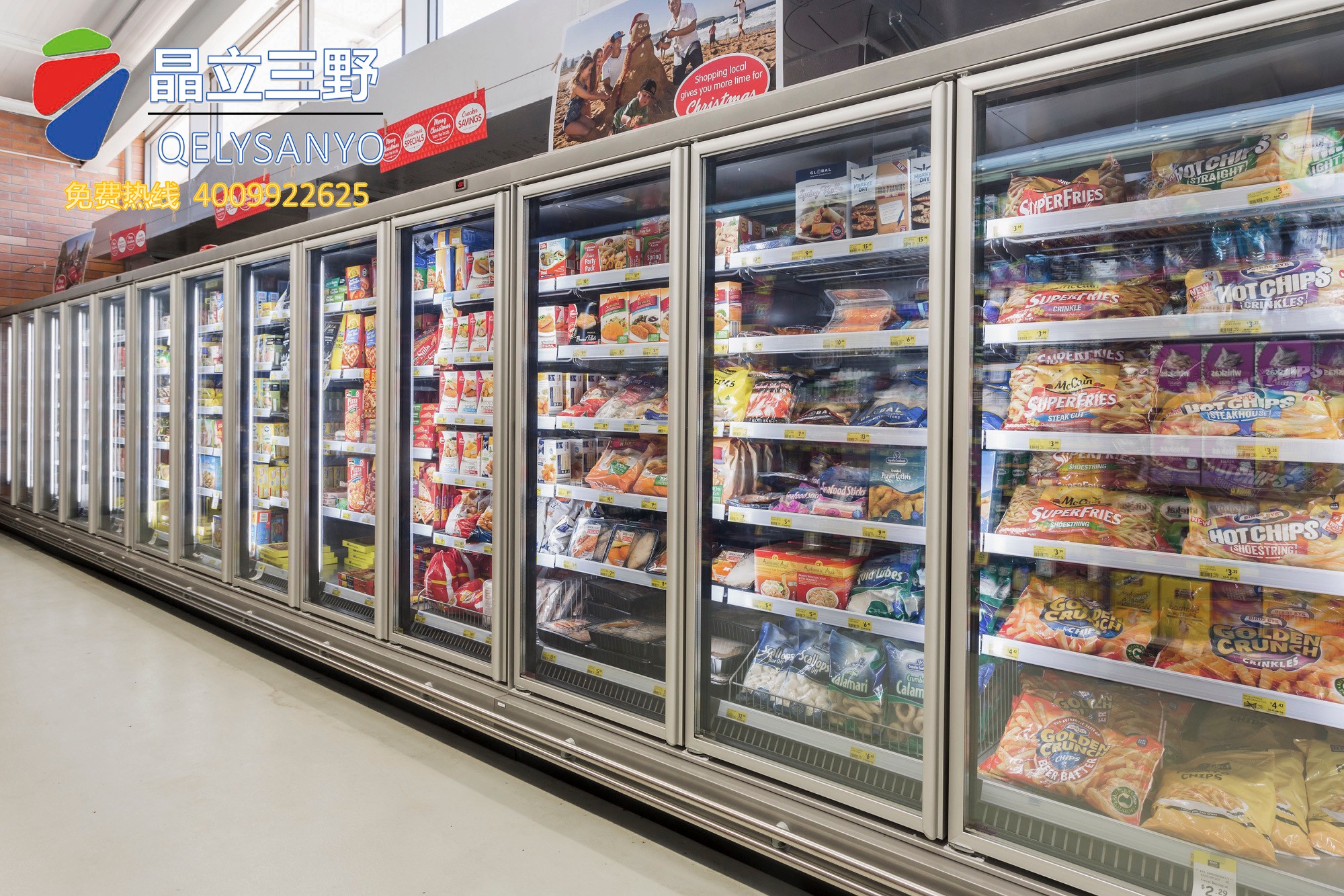 南京阿莱斯生鲜超市立式冷冻柜